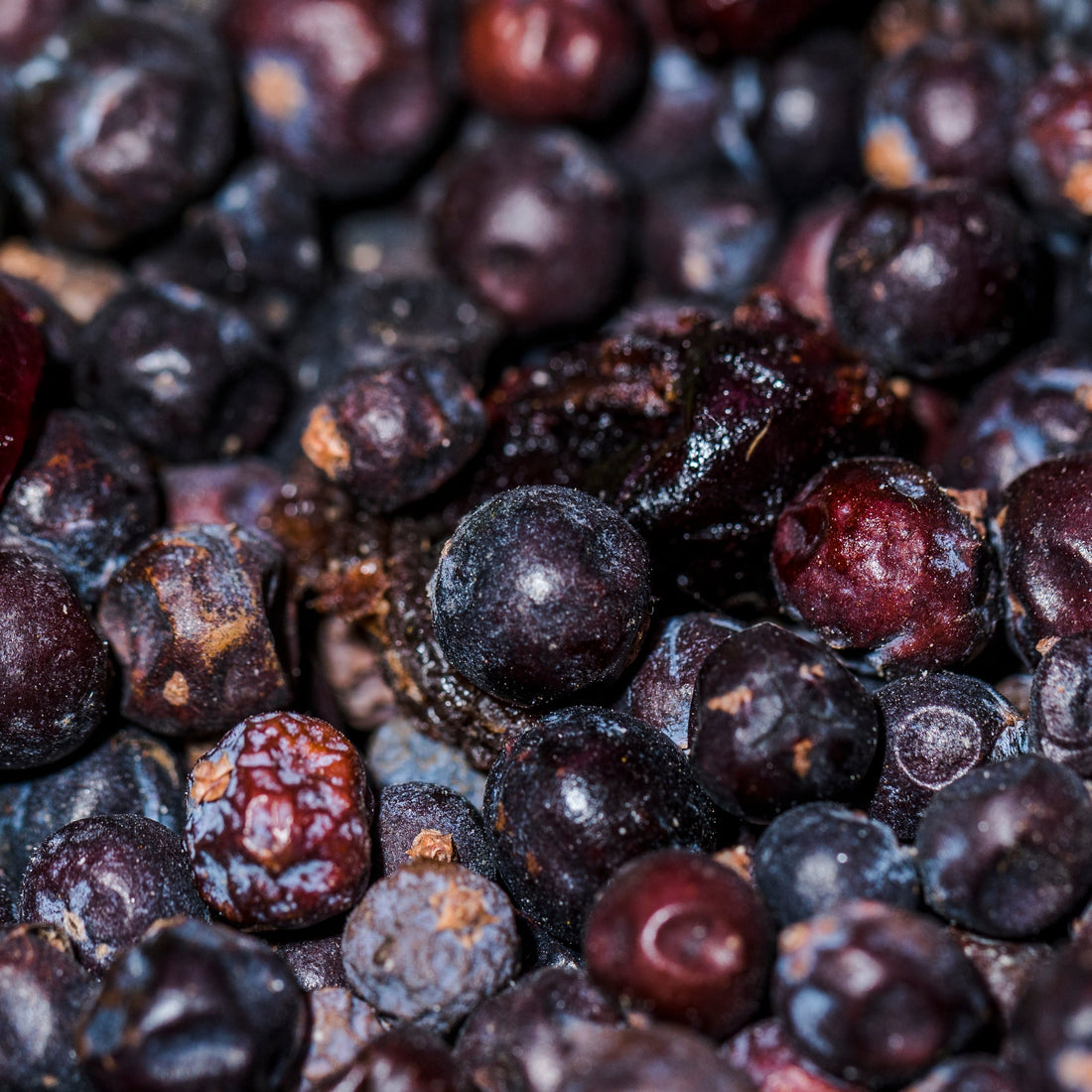 RESVERATROL: QUÉ ES, BENEFICIOS Y POR QUÉ DEBERÍAS INCLUIRLO EN TU RUTINA DE BIENESTAR